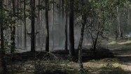 Straż pożarna w lesie