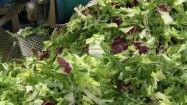 Mieszanie sałat w przetwórni warzyw