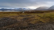 Krajobraz wyspy Spitsbergen