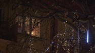 Świąteczne lampki na drzewie