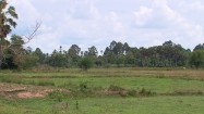 Wiejski krajobraz w Kambodży