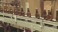 Butelki piwa na taśmie produkcyjnej