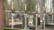 Brzozowe krzyże na grobach Harcerskiego Batalionu AK "Zośka"