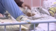 Dziecko na szpitalnym łóżku