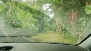 Droga w dżungli na Kostaryce