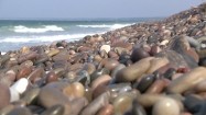 Kamienista plaża w Szkocji