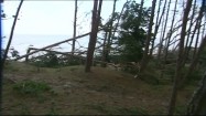 Połamane drzewa po przejściu orkanu