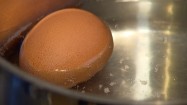Gotowanie jajka