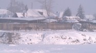 Wieś - krowy na śniegu