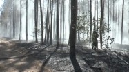 Straż pożarna w lesie