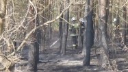 Dogaszanie pożaru w lesie