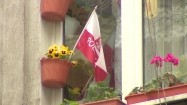 Flaga Polski w doniczce z kwiatami