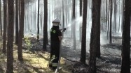Strażak w lesie