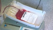 Kołyska laboratoryjna do mieszania krwi