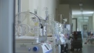 Inkubatory na szpitalnym korytarzu