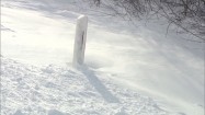 Przyspany śniegiem przydrożny słupek