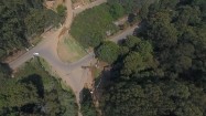 Droga między drzewami - widok z lotu ptaka