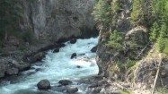 Rzeka w Parku Narodowym Yellowstone