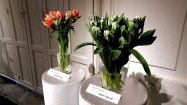 Tulipany w wazonach