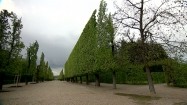 Park w Schönbrunn w Wiedniu