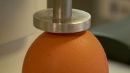 Badanie jajka pod kątem twardości skorupy