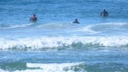 Mężczyźni na deskach surfingowych