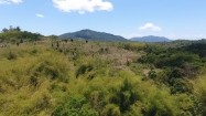 Tereny zielone na Madagaskarze