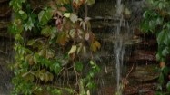 Wodospad w ogrodzie