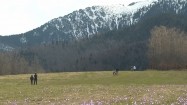 Wiosenny spacer w górach