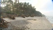 Wybrzeże zniszczone po przejściu orkanu