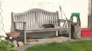 Kot śpiący na ławce