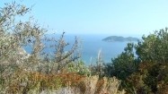 Roślinność na wyspie Zakintos w Grecji