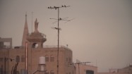 Ptaki siedzące na antenie