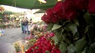 Czerwone róże na stoisku z kwiatami