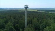 Wieża obserwacyjna w lesie