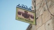 Szyld "Cats Museum" w Kotorze