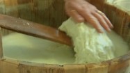 Produkcja mozzarelli