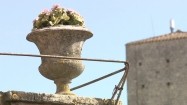 Kamienna donica z kwiatami