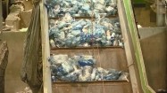 Plastikowe butelki w sortowni śmieci