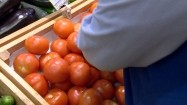 Pomidory na targu