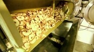 Produkcja chipsów jabłkowych