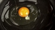 Jajko na patelni