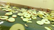 Plasterki jabłek na taśmie produkcyjnej