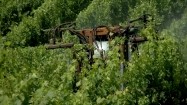 Maszyna do przycinania winorośli