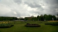 Ogród pałacu Schönbrunn w Wiedniu