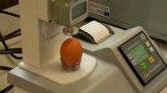 Badanie jajka pod kątem twardości skorupy