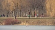Ludzie w parku