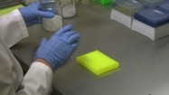 Ustawianie mikroprobówek na płytce