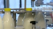Linia produkcyjna mleka
