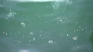 Meduzy unoszące się w wodzie